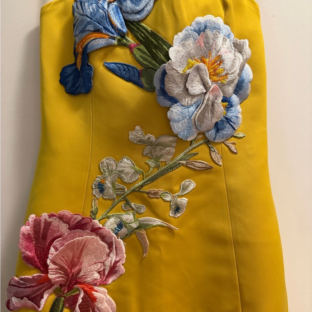 Leo Lin Appliqué Floral Bustier Maxi Dress - Picture 9 of 11